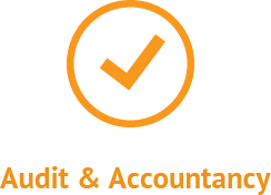 Audit and Accountancy