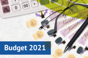 what does the 2021 budget mean for your business